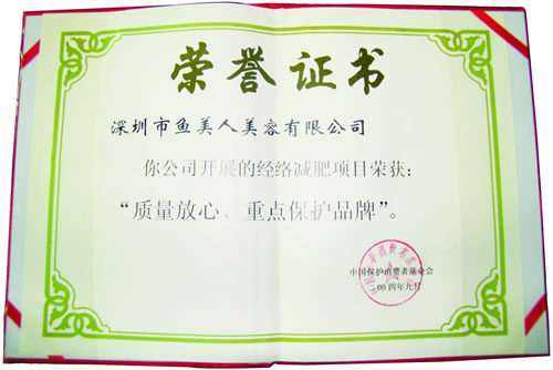 香蕉视频黄色片获2004年重点保护品牌殊荣