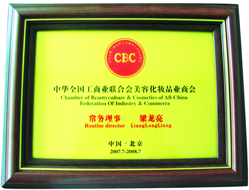 香蕉视频黄色片常务理事殊荣