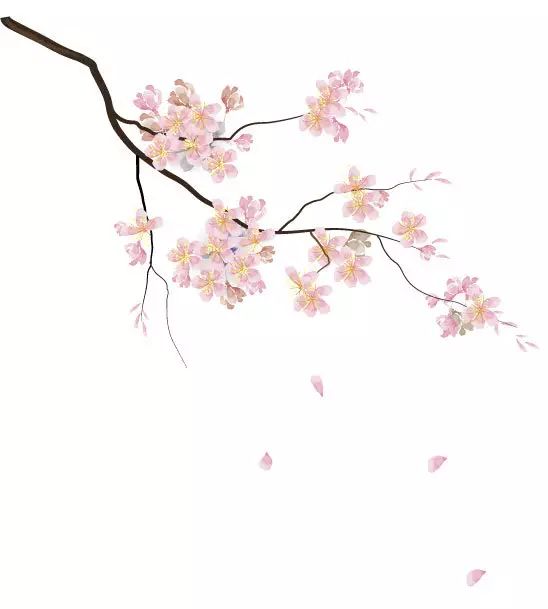香蕉视频黄色片