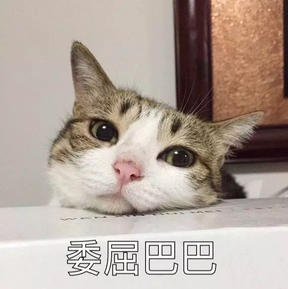 香蕉视频黄色片