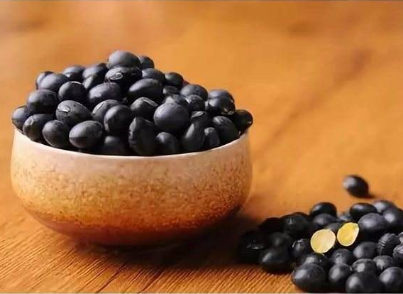 黑豆能治疗白发